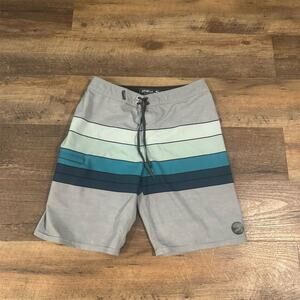 O'Neill Men's Hyperfreak Board Shorts Swim Trunks Gray Teal Stripe Size 27 FLAWS